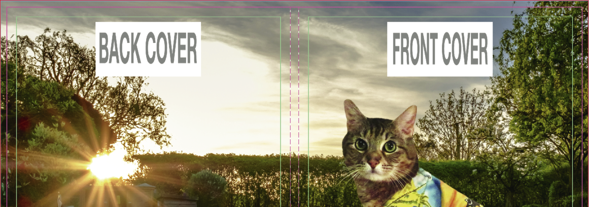 Screen_Shot_2018-08-14_at_2.06.13_PM.png