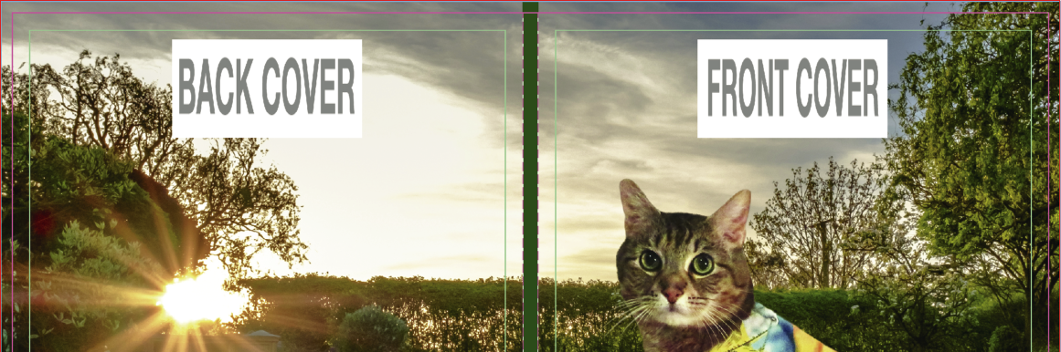 Screen_Shot_2018-08-14_at_2.07.27_PM.png